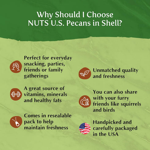 Packed (2 LBS) NUTS U.S. - Pecans In shell | Whole, Raw and Unsalted | No Added Flavor or Color | Fresh Buttery Taste