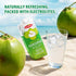 Cocoking 16.9 Oz (Pack 12) Thai Coconut Water Pure Nam Hom Coconuts Natural Electrolyte Drink No Added Sugar, Not from