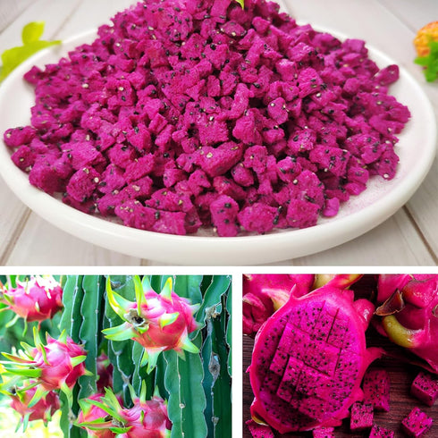 JLecker 3.52oz/100g, Freeze Dried Dragon Fruit Cubes for Drinks Dehydrated Dragonfruit (Pitaya) Chunks for Smoothies