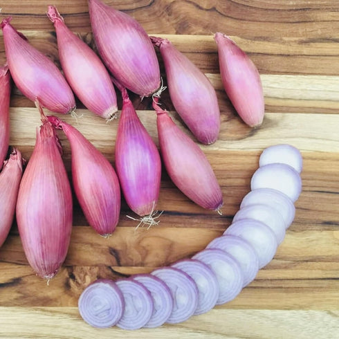 Snow Hill Organic Himalayan Shallots 2 lb Bag Grown in High Altitude