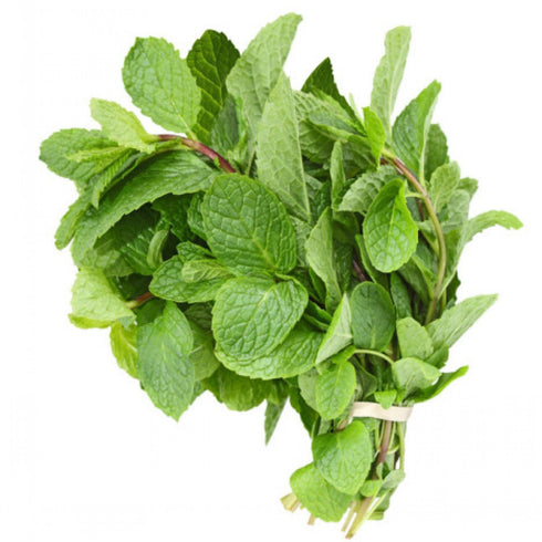 TastePadThai Fresh Mint Leaves (3 oz.)