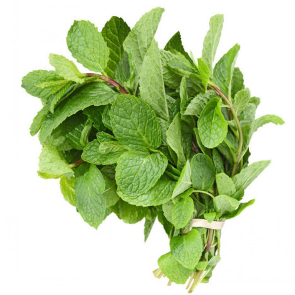 TastePadThai Fresh Mint Leaves (3 oz.)