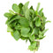 TastePadThai Fresh Mint Leaves (14 oz.)