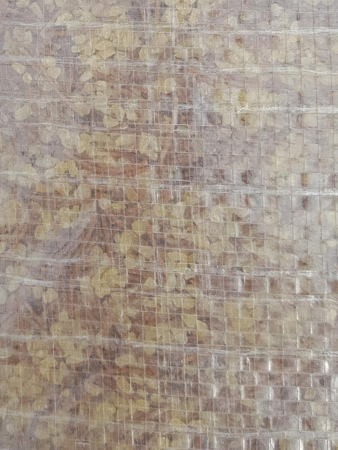 Bashan #2 (pack 1) bulgar yellow wheat with Vermicelli