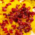 GOALDEES 8 oz (226g) Dried Barberries Premium Quality Zereshk Tart & Natural