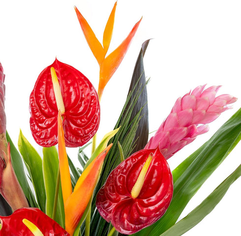 Generic Fresh Orchids and Tropical Flower Bouquet, Red Anthuriums, Red Ginger, Heliconia, Mixed Foliage, Hawaiian