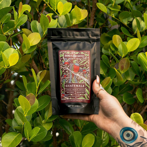 Pack, 4 oz Pack 5 Bones Coffee Company NEW World Tour Sample Single-Origin Flavored Coffee Low Acid Medium Roast