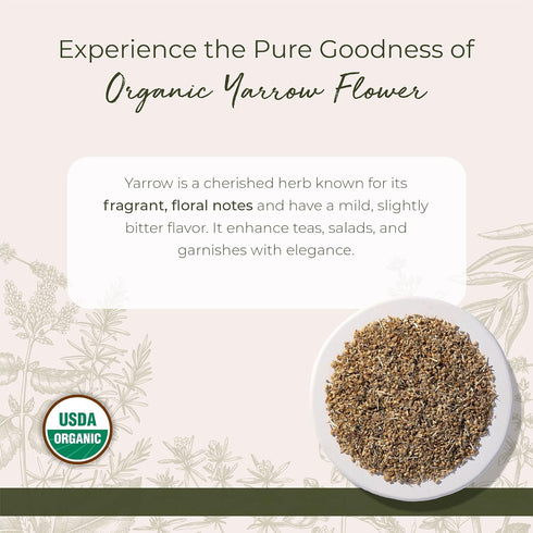 4 oz Starwest Botanicals Organic Yarrow Flowers - Dried Loose Leaf Herb for Tea, Cut & Sifted, Certified Kosher
