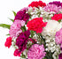 (26 Benchmark Bouquets Carnation Flower Mix Mothers Day Flowers for Delivery Fresh Cut Floral Arrangement Pink White