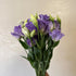 10 Next day delivery Stems Lisianthus Grade Smoked Purple Platycodon Fresh Cut Flowers Bouquet Birthdays Friendship