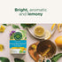 96 (Pack 6) Traditional Medicinals Tea, Organic EveryDay Detox Lemon, Supports Healthy Skin & Liver Function, Detox