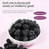 Mulberries, Mulberry 10.58Oz/300g, Premium Dried Black Wild Black Fruit with Pure Natural Nutrients, No Sugar Added, No