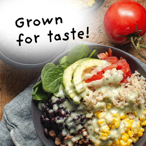 4Sisters 2lb - Organic Long Grain Brown Rice - Grown in USA - Sustainably Grown - Women Owned - Farm to Table
