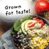4Sisters 2lb - Organic Long Grain Brown Rice - Grown in USA - Sustainably Grown - Women Owned - Farm to Table