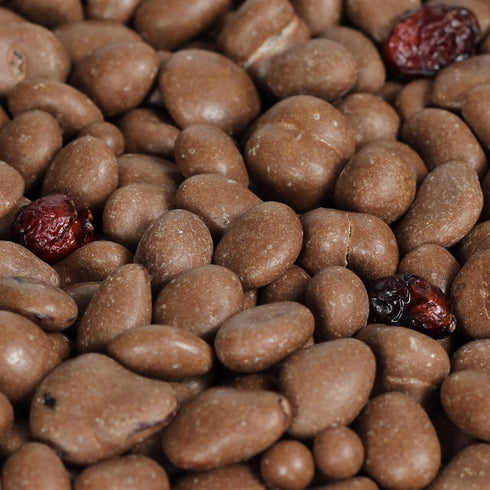 1 LB (16 Oz Gourmet Milk Chocolate Covered Cranberries by Its Delish, Bag) | Dried Cranberries Coated in Milk Chocolate