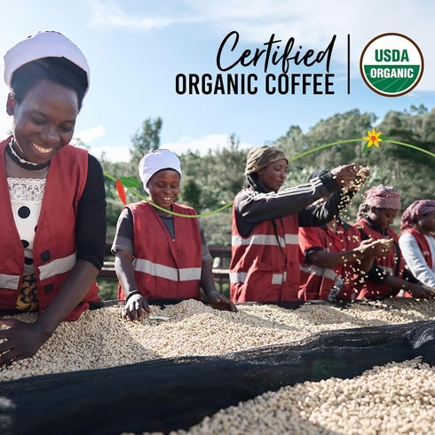 12 oz 100% ST REMIO Ground Coffee Traditional - Medium Roast, USDA Organic, Bio Organic, Smooth Honey and Almond