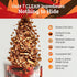 11 OZ Ladera Cocoa Almond Granola - Low Sugar Chocolate Breakfast Cereal, Gluten Free & Vegan, Honest Ingredients