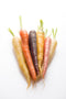 Fresh Nation Rainbow Carrots, Locally Grown, 2 Bunches