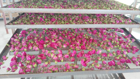 TooGet Fragrant Natural Pink Rose Buds Organic Dried Rosa Damascena - 2 OZ Culinary Grade