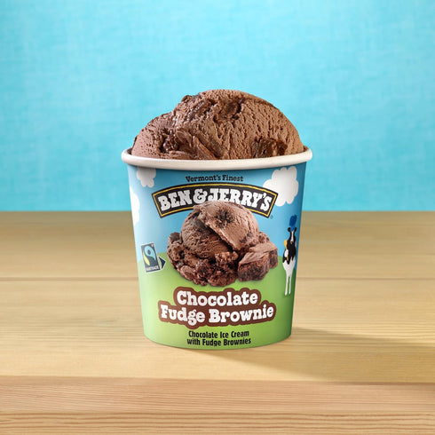 Ben & Jerry's 16 oz Ice Cream Chocolate Fudge Brownie