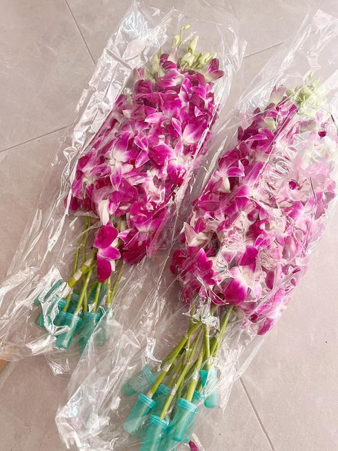 20 Stems purple orchids fresh cut flower gift birthday anniversary Valentine's Day flowers Dendrobium orchid