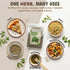 12 Oz (340g) Miss Spring Dried Oregano Leaves - Non-GMO, No Additives - Finely Cut Oregano Dried Leaves Seasoning