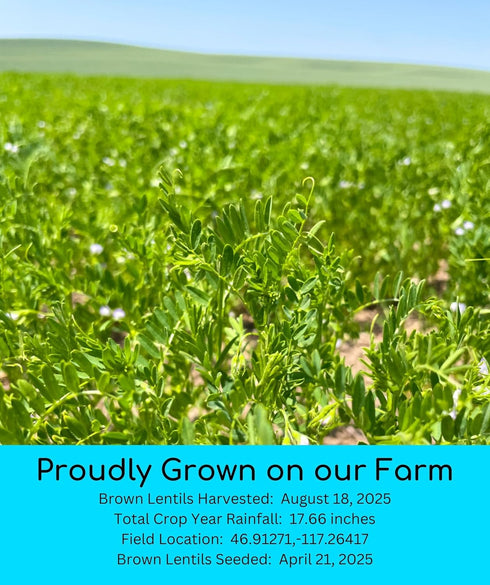 1 lb 100% Palouse Brand Non-GMO Project Verified Brown Lentils | Certified Glyphosate Residue Free | Pouch |
