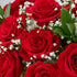 Dozen Benchmark Bouquets - Red Roses Bouquet - Fresh Flowers for Delivery - Mothers Day Flowers - One Long Stem Roses