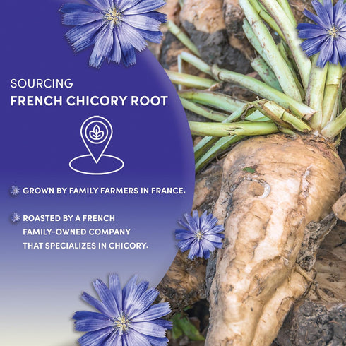 1 Worldwide Botanicals French Chicory Root, Pound - Brew Like Coffee, Blend Roasted Chicory Root With Coffee
