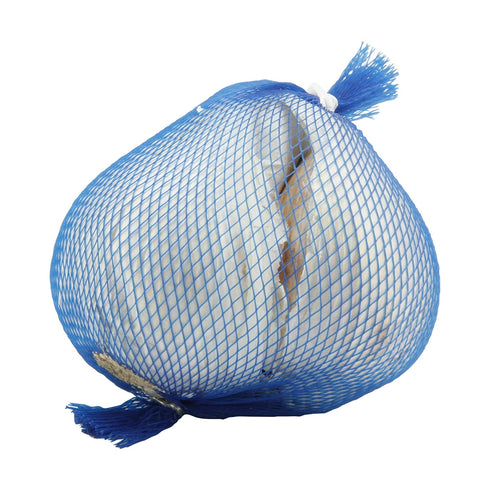 Fresh Produce Garlic Elephant