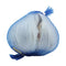 Fresh Produce Garlic Elephant