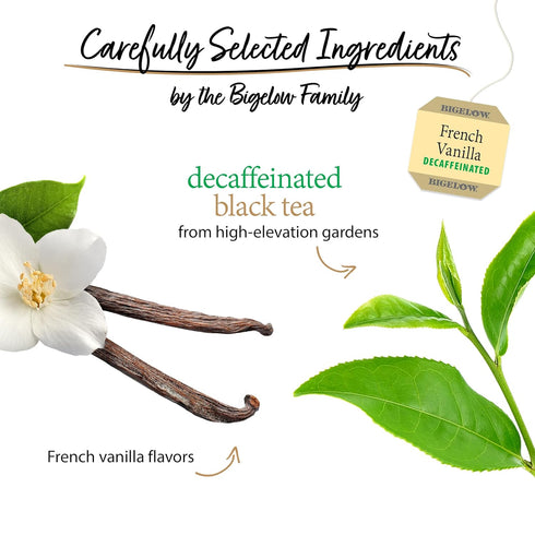 20 Count (Pack 6), 120 Bigelow Tea Decaffeinated French Vanilla Black Tea, Decaf Tea with French Vanilla, Box of Total