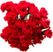 38 Red Carnation Flowers Hydroponic Flower Arrangement Mothers Day Gift Home Decor