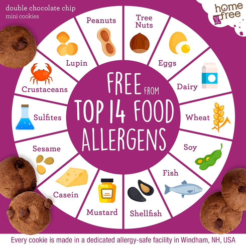 0.95 (Pack 10) Homefree Treats You Can Trust Gluten Free Mini Cookies, Single Serve, Double Chocolate Chip, Ounce