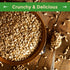 1(LB) Sincerely Nuts Sunflower Seeds Roasted and Salted, Hulled | No Shell, Gluten-Free Snack, Vegan, and Kosher