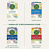 16 Traditional Medicinals Organic, Nighty Night Tea, Chamomile & Passionflower - Herbal Sleep Aid Teas - Kosher