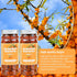 8.5 oz/240g Dried Sea Buckthorn Berries Premium Hand-Picked Whole Fruits Sea Buckthorn Tea No Additives,Tart & Tangy
