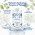 (Pack 12) Regenerative Organic Certified Birch Tree Sap Electrolytes, Minerals, Prebiotics & Vitamins, Finland Wild
