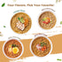 Pack Hethstia Konjac Shirataki Fettuccine Noodles & High-Protein Ramen Variety Keto, Vegan, Gluten-Free, Low-Carb Meal