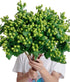 19 Vibrant Stems Green Bean Flower Bouquet for Special Occasions
