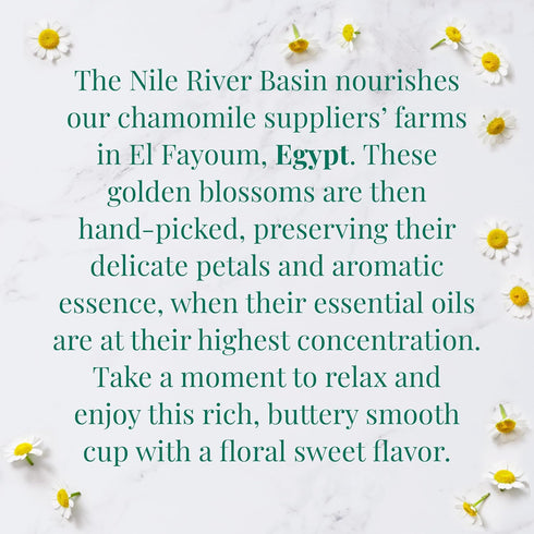 Organic Egyptian Chamomile SuperHerb Tea Tin by The Republic of Tea, 36 Herbal Tea Bags, Caffeine-Free