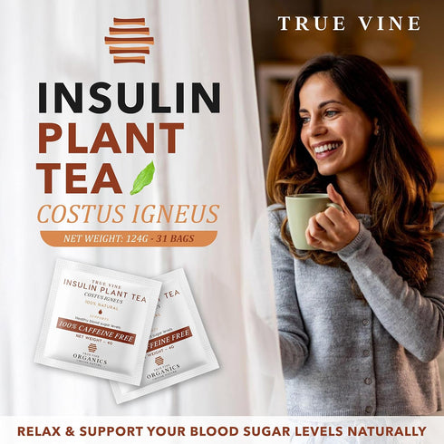 100% 31 (4g True Vine Insulin Plant Tea (USDA Organic) Herbal Organic Tea Bags for Blood Sugar Support, Digestive