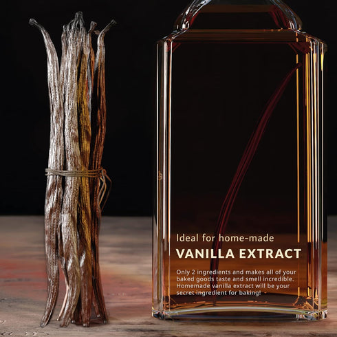 (10) Madagascar Vanilla Beans - Vacuum Sealed Grade A Vanilla Pods - Rich, Creamy Flavor & Aroma -Great for for Baking