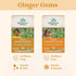 ORGANIC INDIA Tulsi Lemon Ginger Tea Bags - Herbal Tea, Stress Relieving, Immune Support, 18 Infusion Bags, 3 Pack