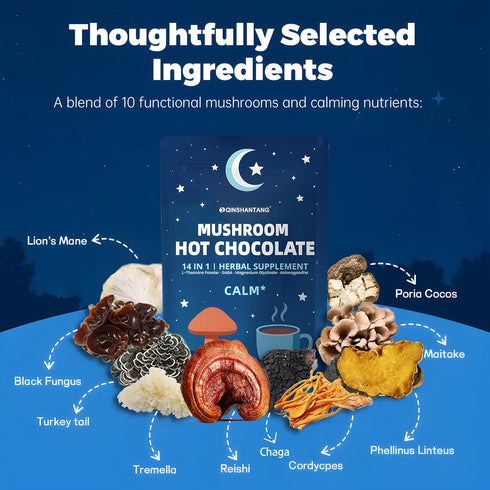 10 8.5oz Mushroom Hot Chocolate for Calm & Relax | Mushroom Blend with L-Theanine, GABA, Magnesium Glycinate, MCT