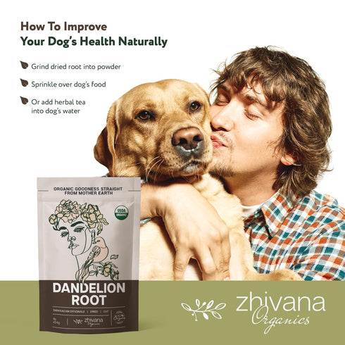 (16 oz.) Dandelion Root Tea Loose Organic Dandelion Root Herb - Te de Diente de Leon Organico Natural - Liver Cleanse