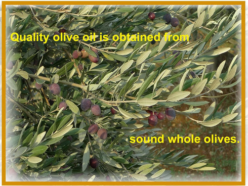 1 Ancient Tree Olive Oil Extra Virgin Cold Pressed, Unfiltered Imported Lebanon Liter