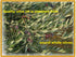 1 Ancient Tree Olive Oil Extra Virgin Cold Pressed, Unfiltered Imported Lebanon Liter