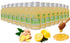 15 Pcs Lemon & Ginger Shots with Honey - 60ml Hand-squeezed Immunity