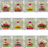 Set 12-Pack, 36 250 Teabloom Jasmine Flowering Tea Hand Tied Green Tea Leaves + Jasmine Blossoms Flowering Tea